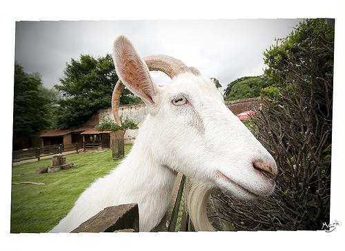 f:id:littleyohane:20130422103113j:image:w550 f:id:littleyohane:20130422103113j:image:w550