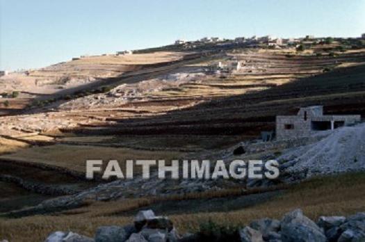 f:id:littleyohane:20130506080729j:image:w600 f:id:littleyohane:20130506080729j:image:w600