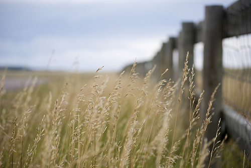 f:id:littleyohane:20131111082328j:image:w600 f:id:littleyohane:20131111082328j:image:w600