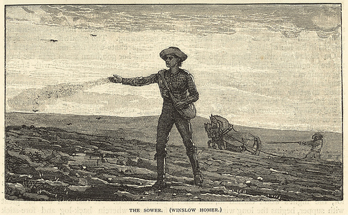 f:id:littleyohane:20131111133921j:image:w600 f:id:littleyohane:20131111133921j:image:w600