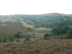 f:id:littleyohane:20150104093710j:image:w640