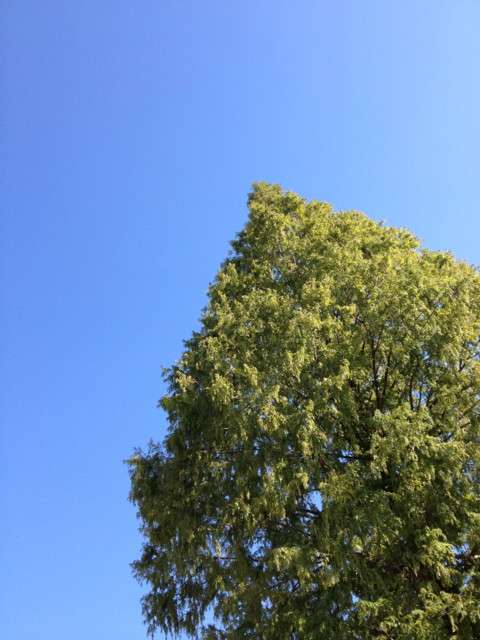 f:id:liusei:20121004142643j:plain