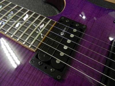 ギター】FERNANDES SUSTAINER 「ずっと音を出したいなら使って