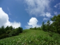 20110710213247