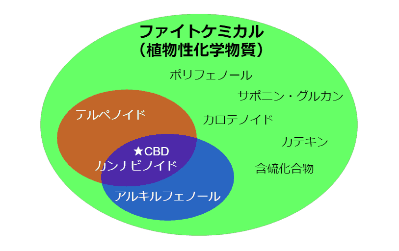 f:id:live-simply:20190125183729p:plain:w420 f:id:live-simply:20190125183729p:plain:w420