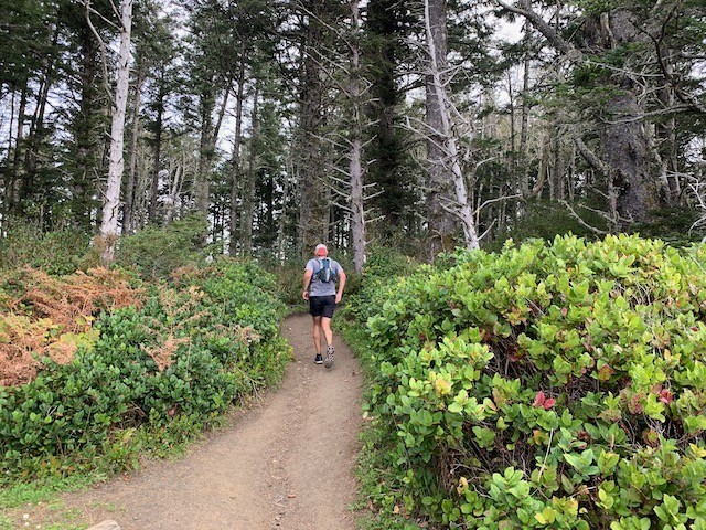 f:id:live-simply:20191024145818j:plain:w320 f:id:live-simply:20191024145818j:plain:w320