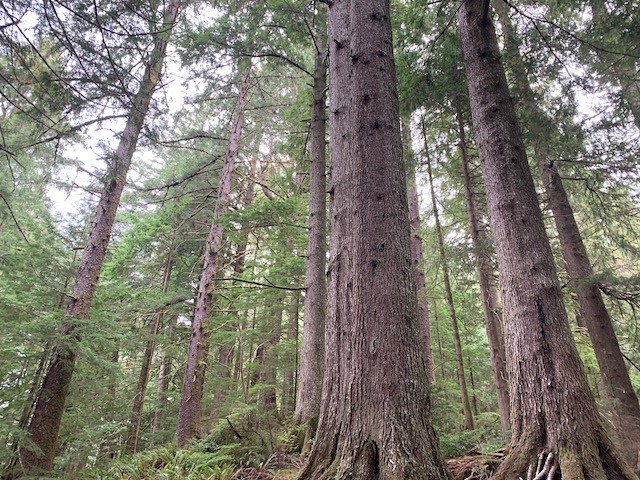 f:id:live-simply:20191024145823j:plain:w320 f:id:live-simply:20191024145823j:plain:w320