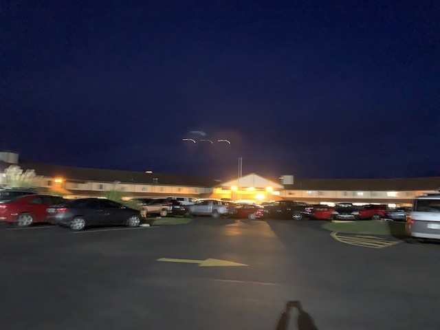 f:id:live-simply:20191025115213j:plain:w320 f:id:live-simply:20191025115213j:plain:w320