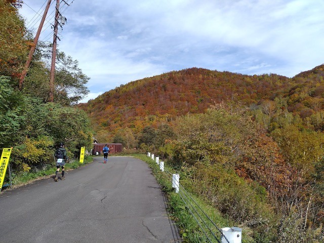 f:id:live-simply:20201104125801j:plain:w240