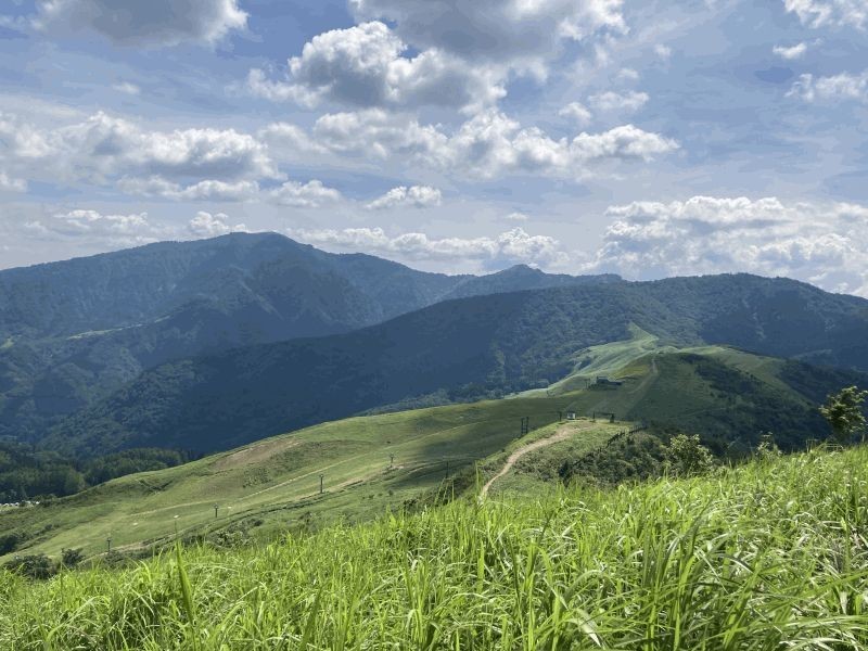 f:id:live-simply:20210728161910j:plain:w420