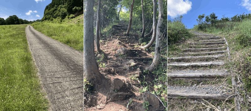 f:id:live-simply:20210802150054j:plain:w460