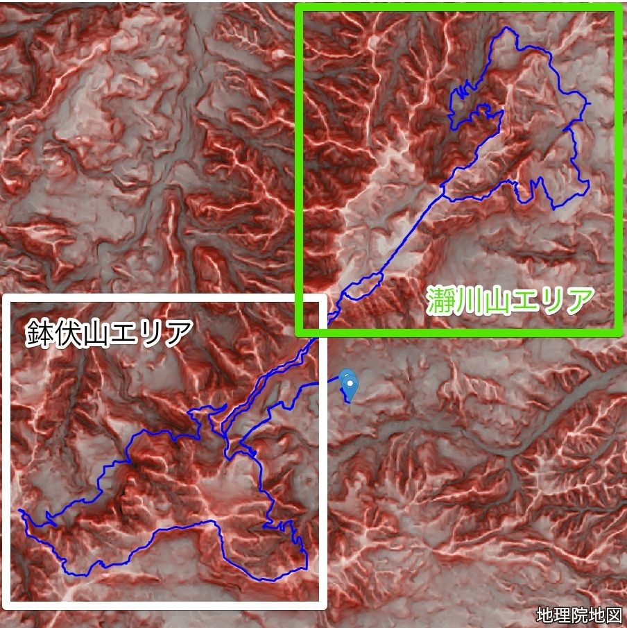 f:id:live-simply:20210802151631j:plain:w420