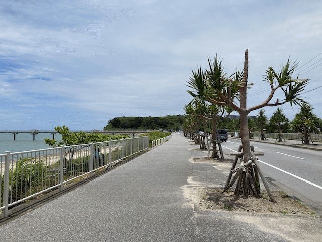 f:id:live-simply:20210813162034j:plain:w180