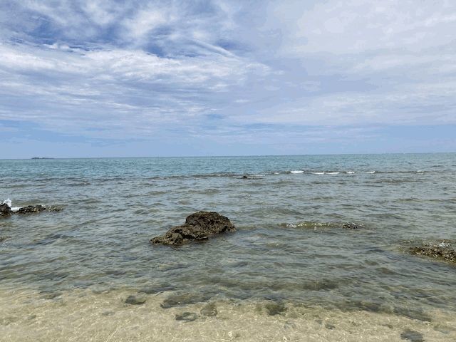 f:id:live-simply:20210813162429j:plain:w180