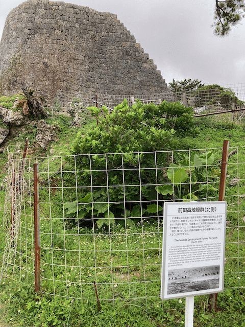 f:id:live-simply:20210813171501j:plain:w120