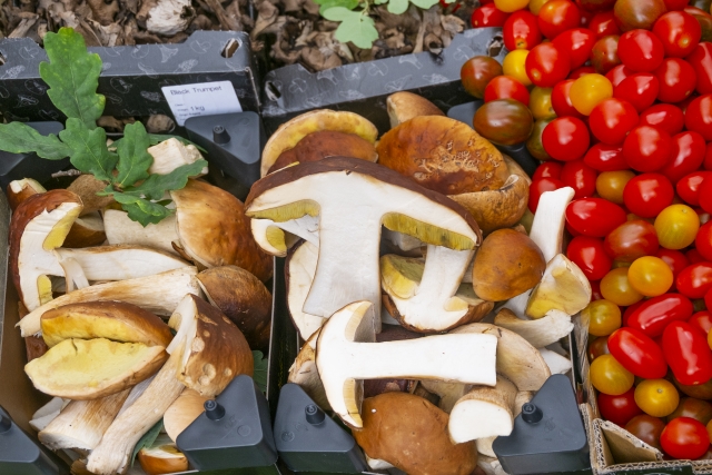 f:id:livecanada:20201017232113j:plain