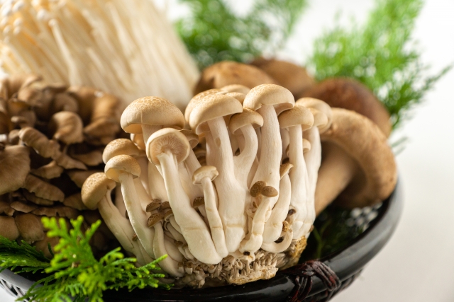 f:id:livecanada:20201017232307j:plain