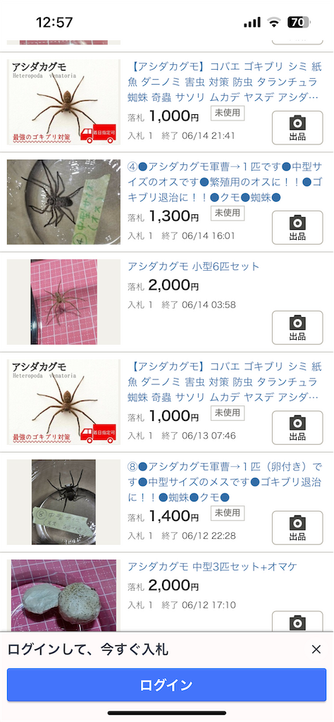 f:id:lived_happily_ever_after:20230616130931p:image