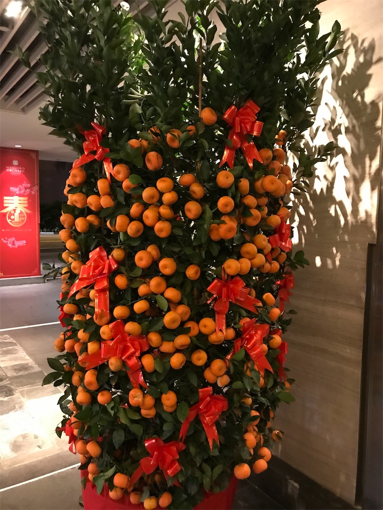 邑楽町のみかん最近甘いんです 月に一度のお顔そり