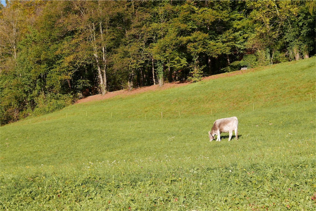 f:id:livel0velaugh:20171107004837j:image