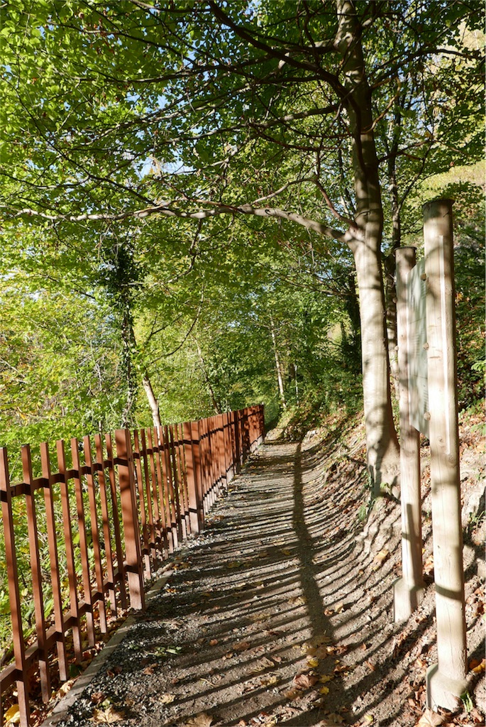 f:id:livel0velaugh:20171108163724j:image