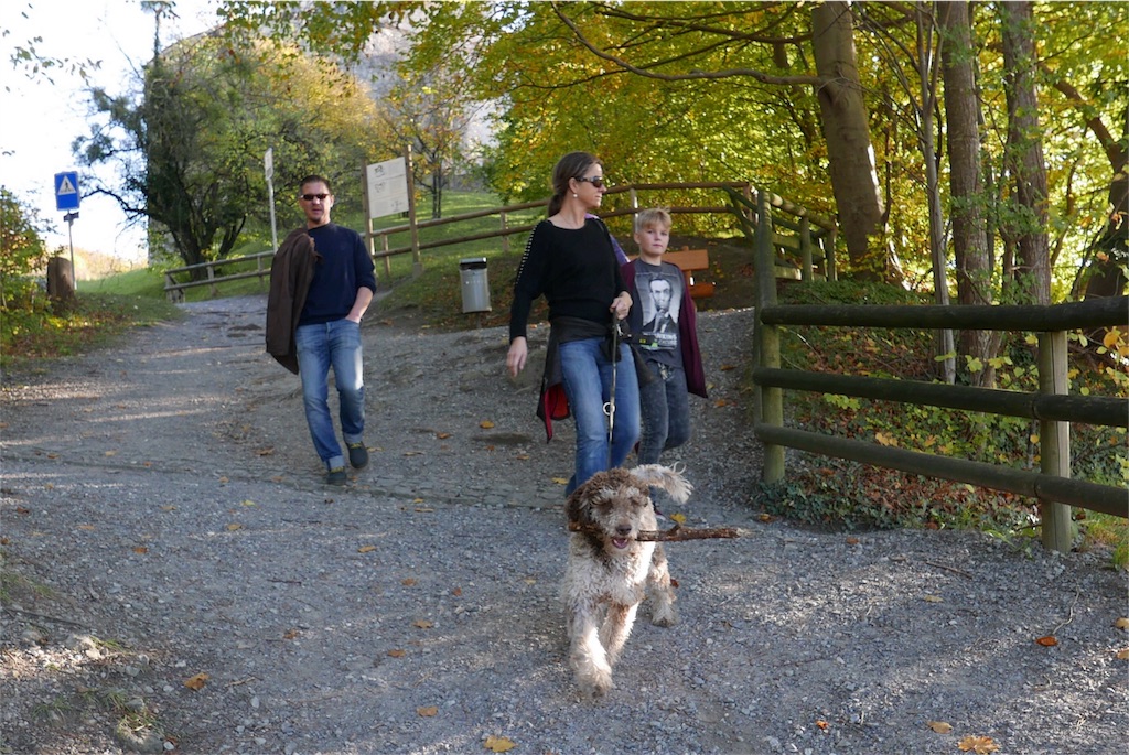 f:id:livel0velaugh:20171108163758j:image