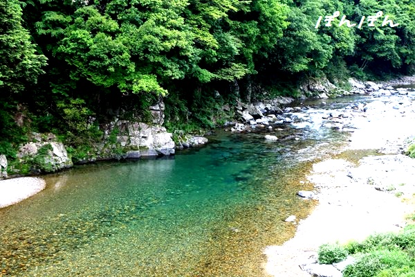 岐阜県関市板取 根道神社＆板取川 - ぽんぽんのプチ情報 時々、リラックマさん