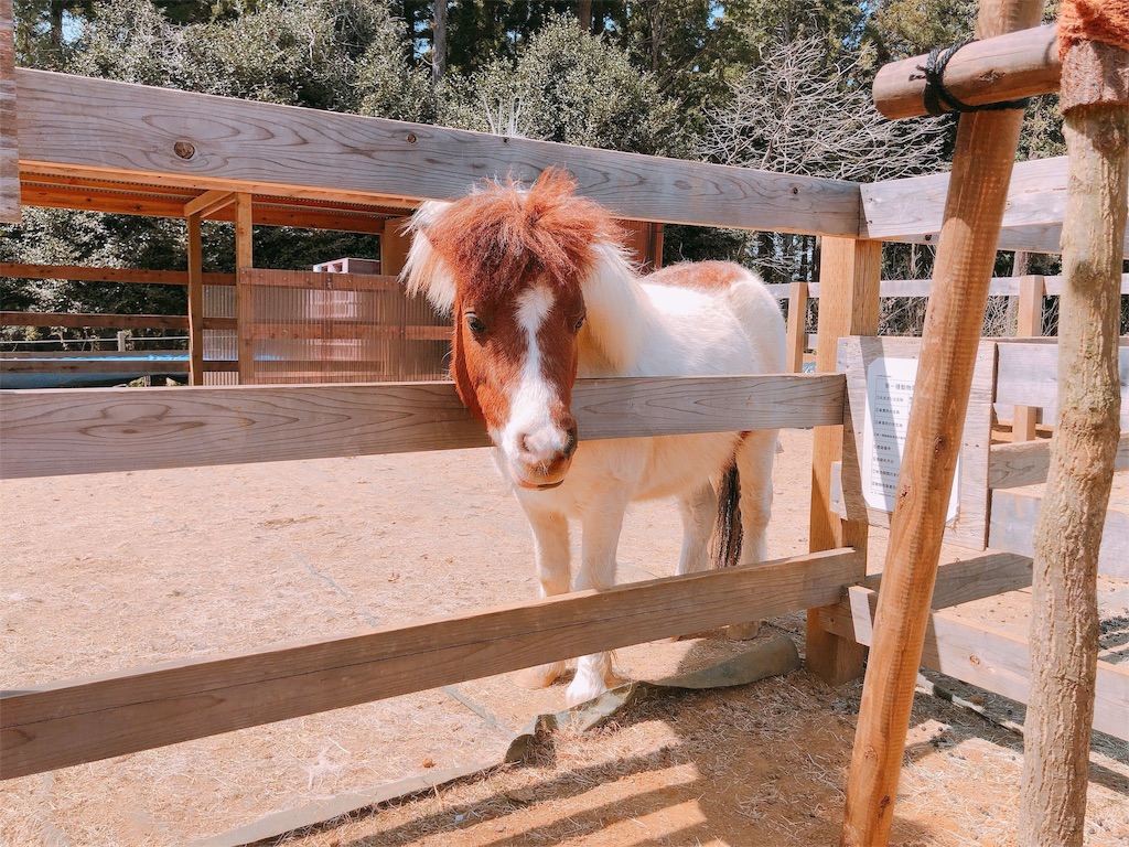 f:id:livesense-blog:20190406125939j:plain f:id:livesense-blog:20190406125939j:plain