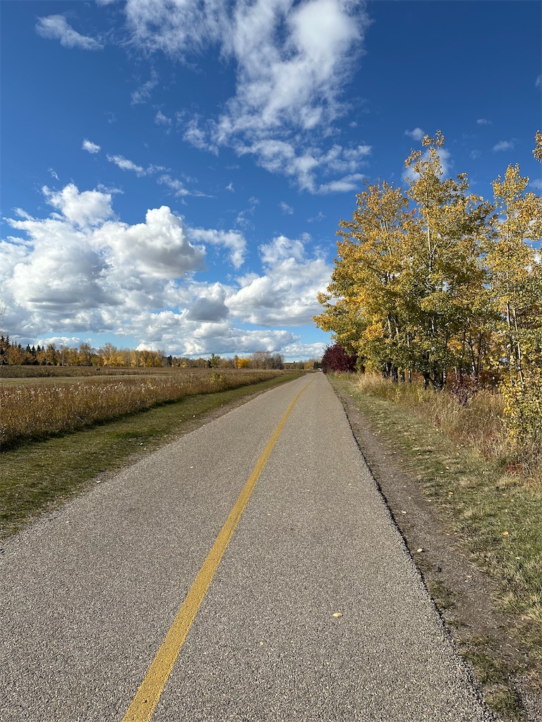 f:id:livingcanada:20241014044725j:image