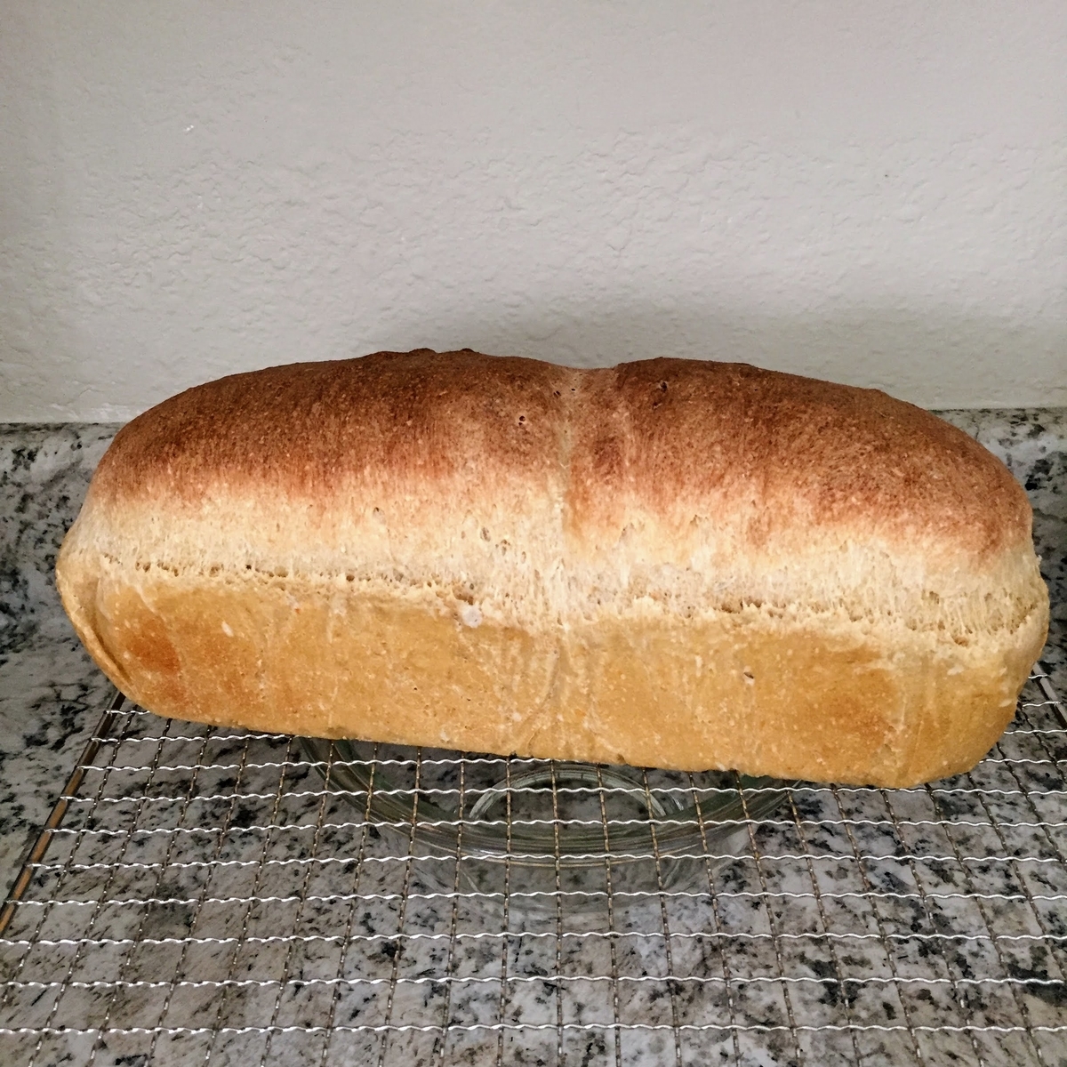 楽健寺酵母でパンを焼く Living Sparkly Naturally 地球と身体にやさしい生活