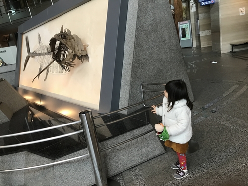 f:id:lix12:20180223213243j:plain