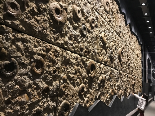 f:id:lix12:20180223213618j:plain