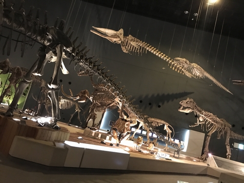 f:id:lix12:20180223213658j:plain