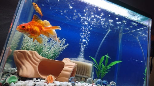 f:id:lix12:20190812224141j:plain f:id:lix12:20190812224141j:plain