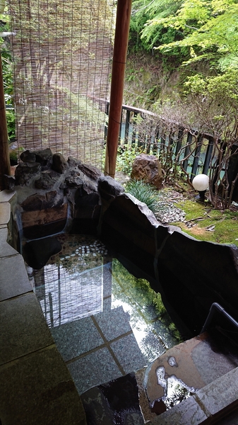 f:id:lix12:20210508173059j:plain