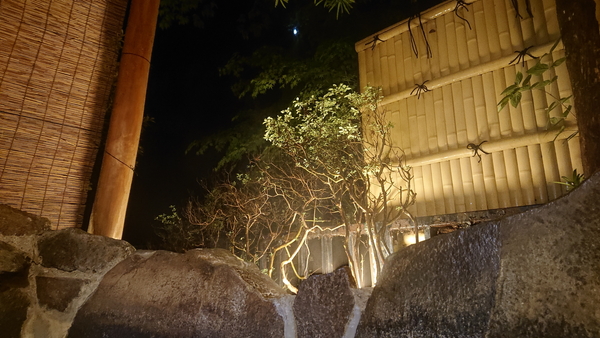 f:id:lix12:20210508173218j:plain