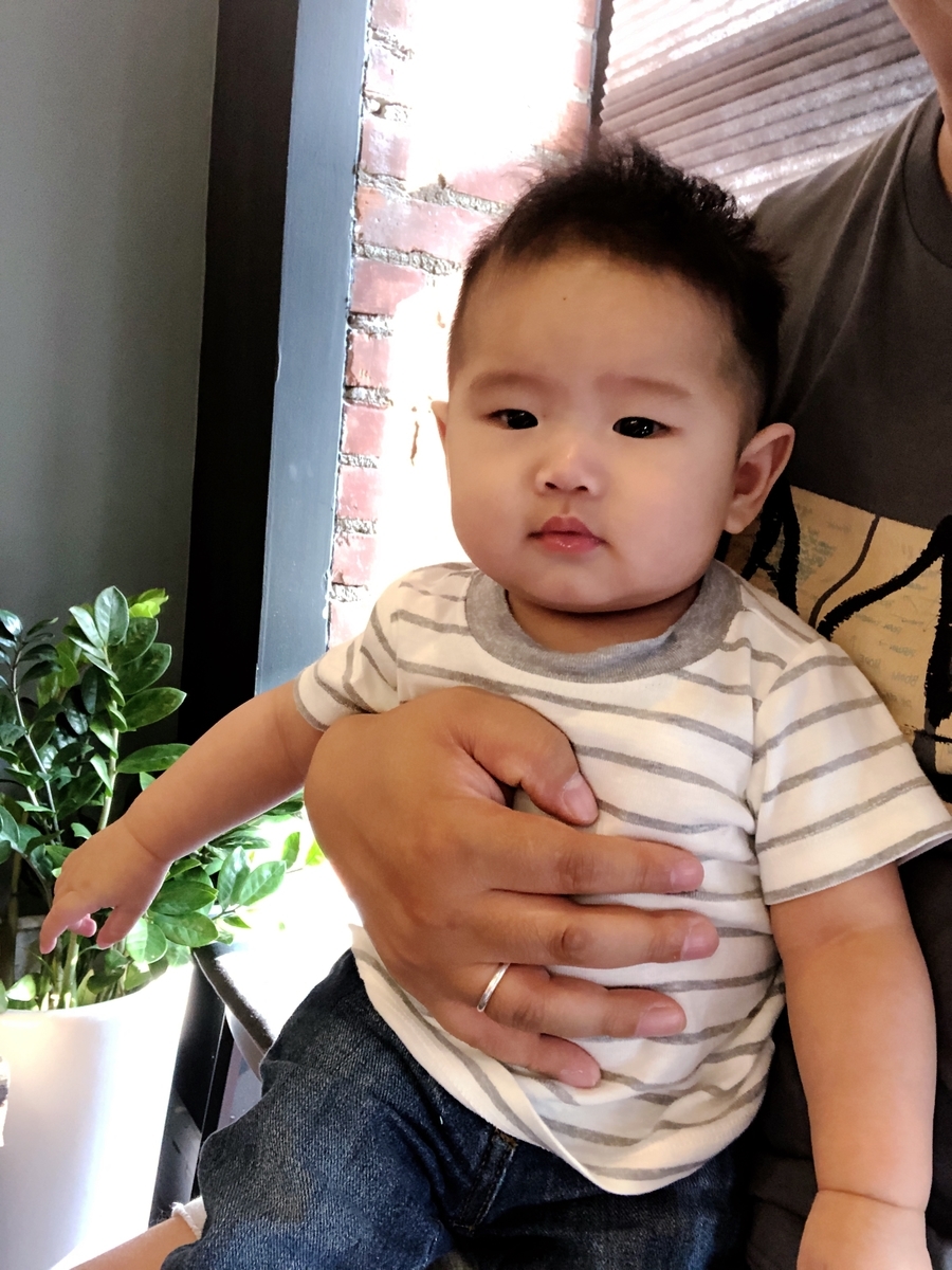 f:id:ljpckatsu:20190709115815j:plain f:id:ljpckatsu:20190709115815j:plain