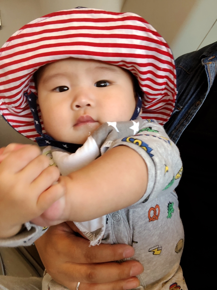 f:id:ljpckatsu:20190717141531j:plain f:id:ljpckatsu:20190717141531j:plain