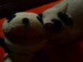 20110227223910