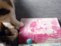 20110308101602