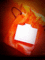 f:id:lladybirdd:20111019162933j:image:small:left