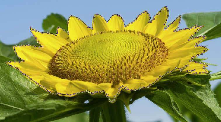 f:id:llcc:20171029175413p:plain f:id:llcc:20171029175413p:plain