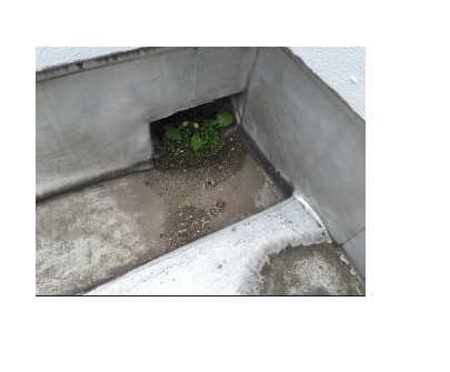 f:id:llcnagomi:20180601185035j:plain