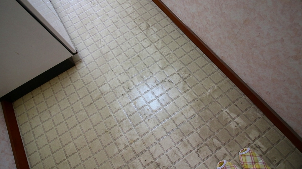 f:id:llcnagomi:20180605211140j:plain