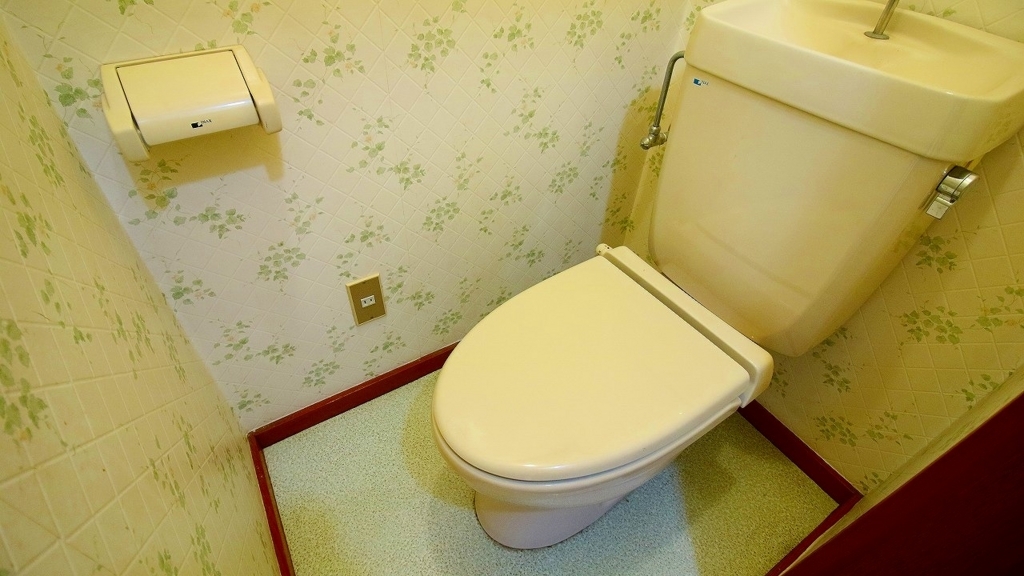 f:id:llcnagomi:20180605211724j:plain