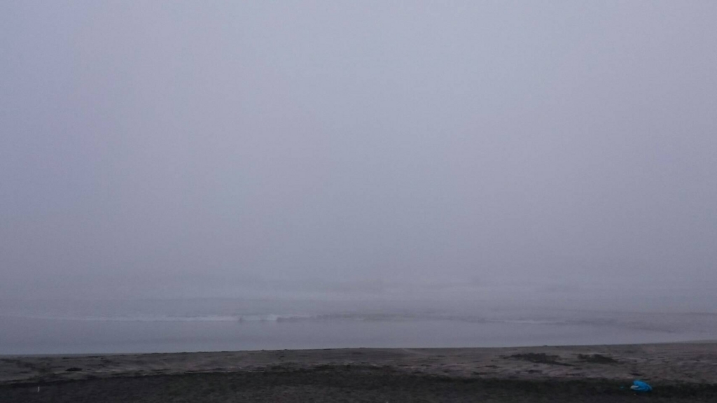 f:id:llcnagomi:20180709104544j:plain