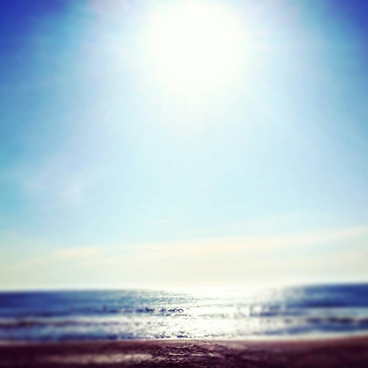 f:id:llcnagomi:20190511184923j:plain