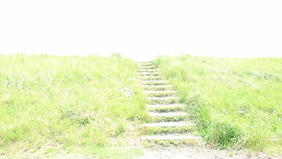 f:id:llcnagomi:20190603195840j:plain
