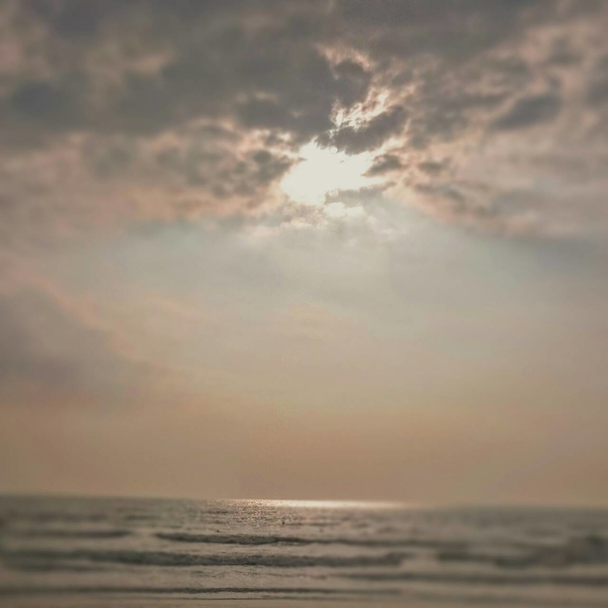 f:id:llcnagomi:20190610193914j:plain