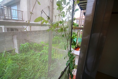 f:id:llcnagomi:20190630190701j:plain f:id:llcnagomi:20190630190701j:plain